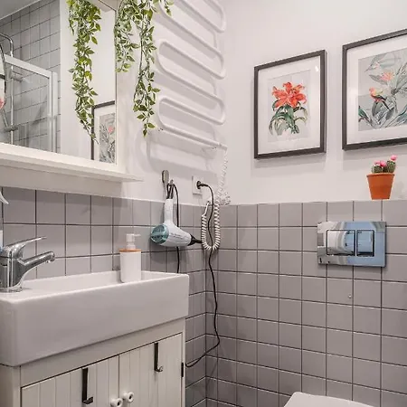 Rynek Stare 5 - Klima Netflix