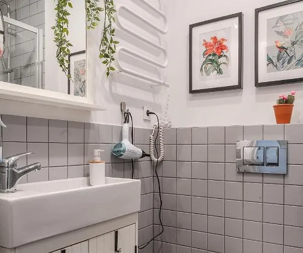 Rynek Stare 5 - Klima Netflix